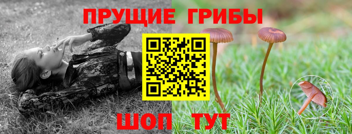 Галлюциногенные грибы ЛСД Острогожск