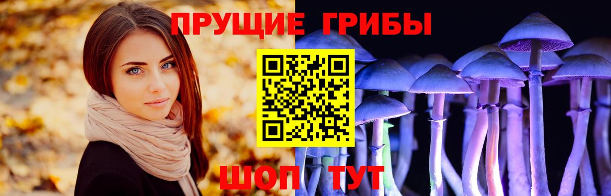Галлюциногенные грибы Magic Shrooms  Вход с VPN  Псилоцибиновые грибы MAGIC MUSHROOMS  Острогожск 